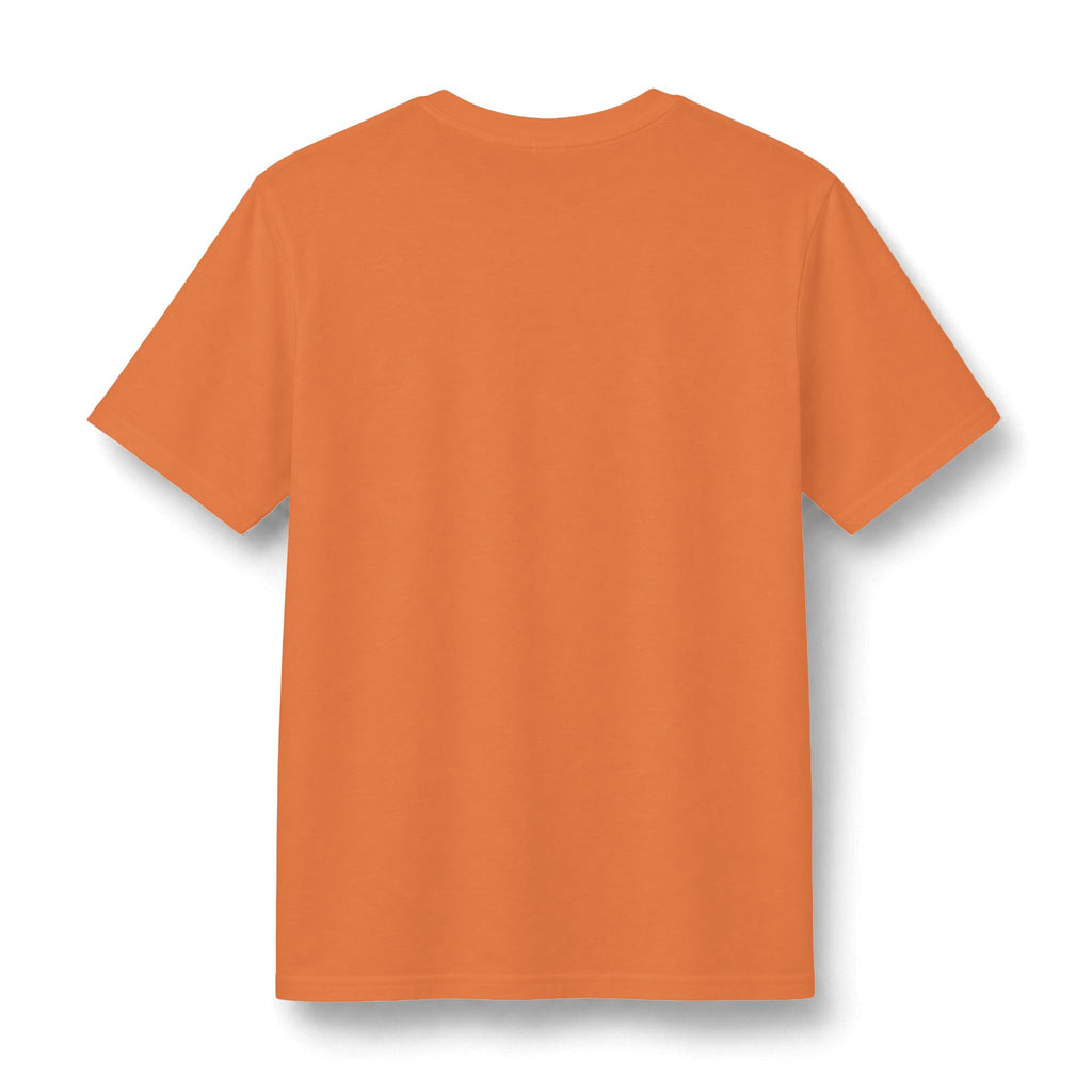 Redacted Files Concert Tee