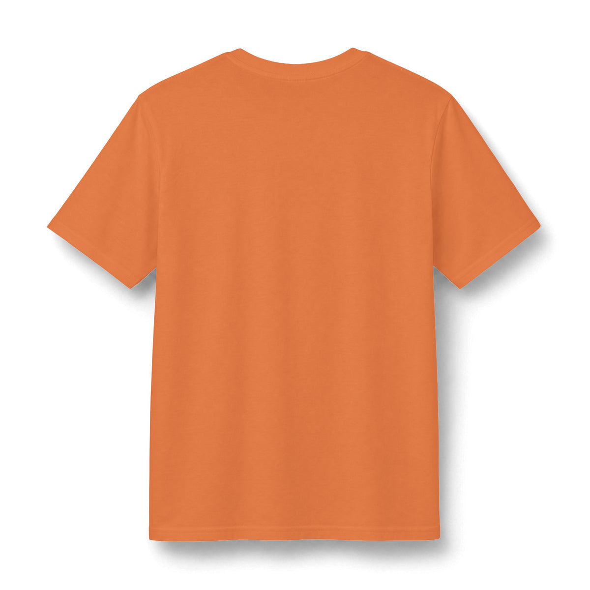 Redacted Files Concert Tee