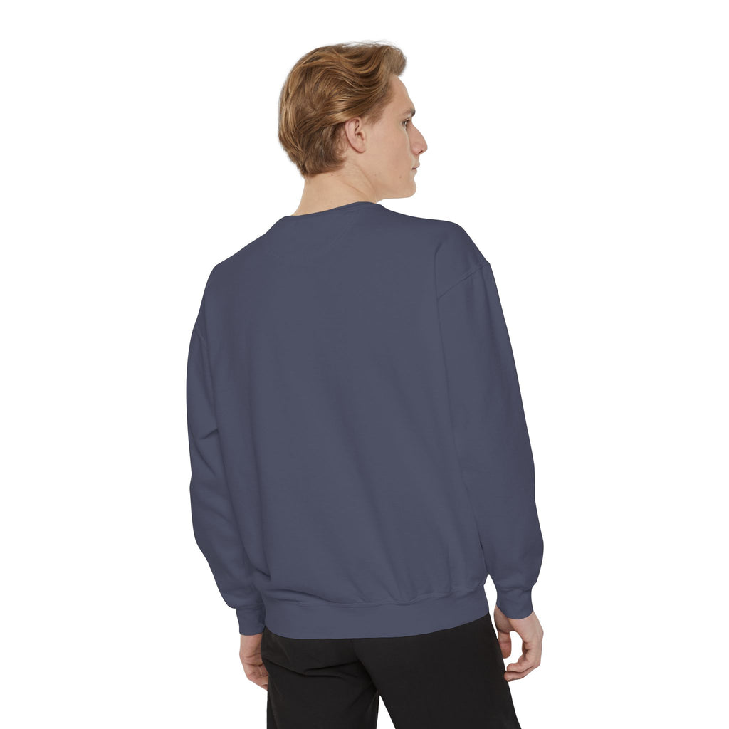 1984-Style Surveillance Unisex Sweatshirt