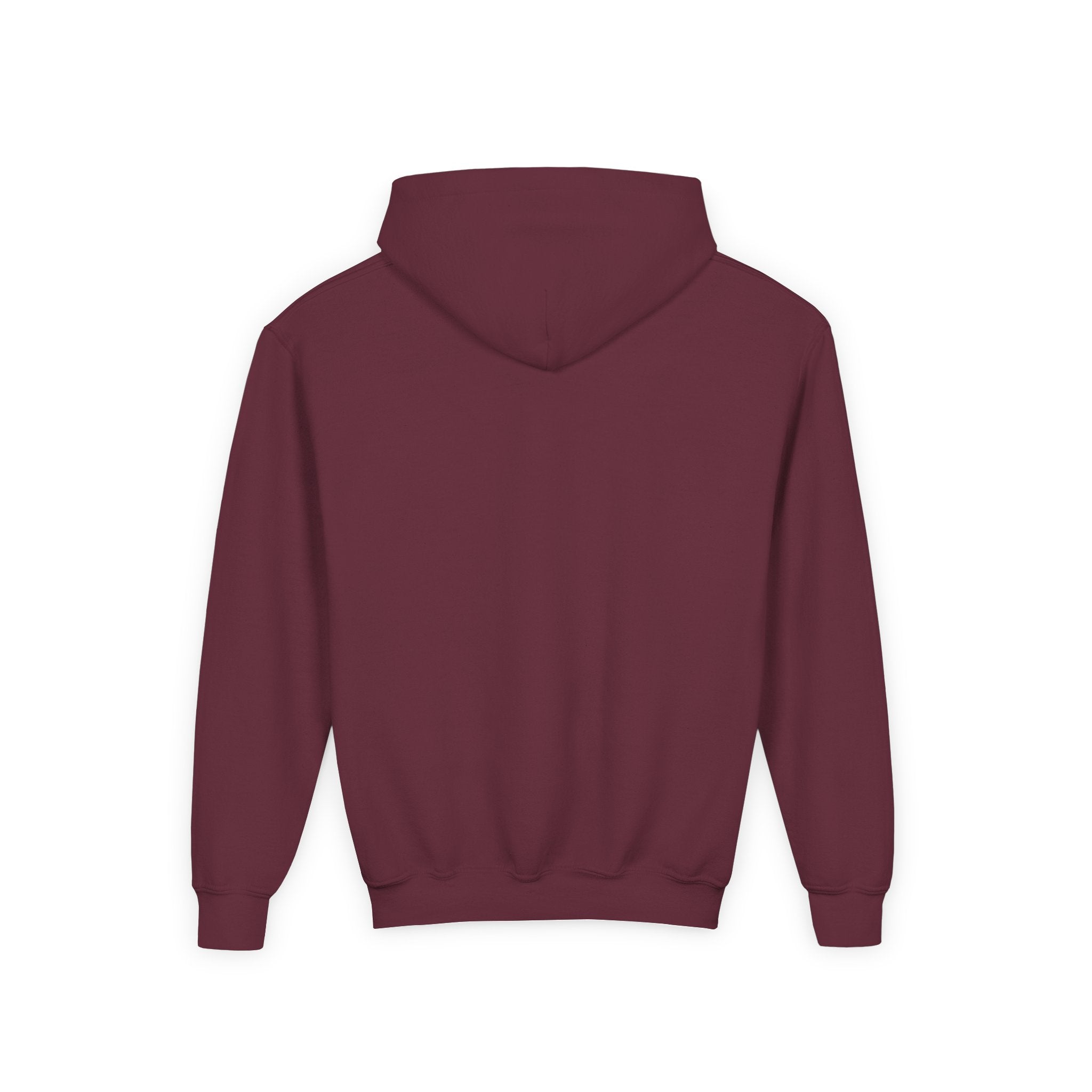 No AI Robot Youth Hooded Sweatshirt