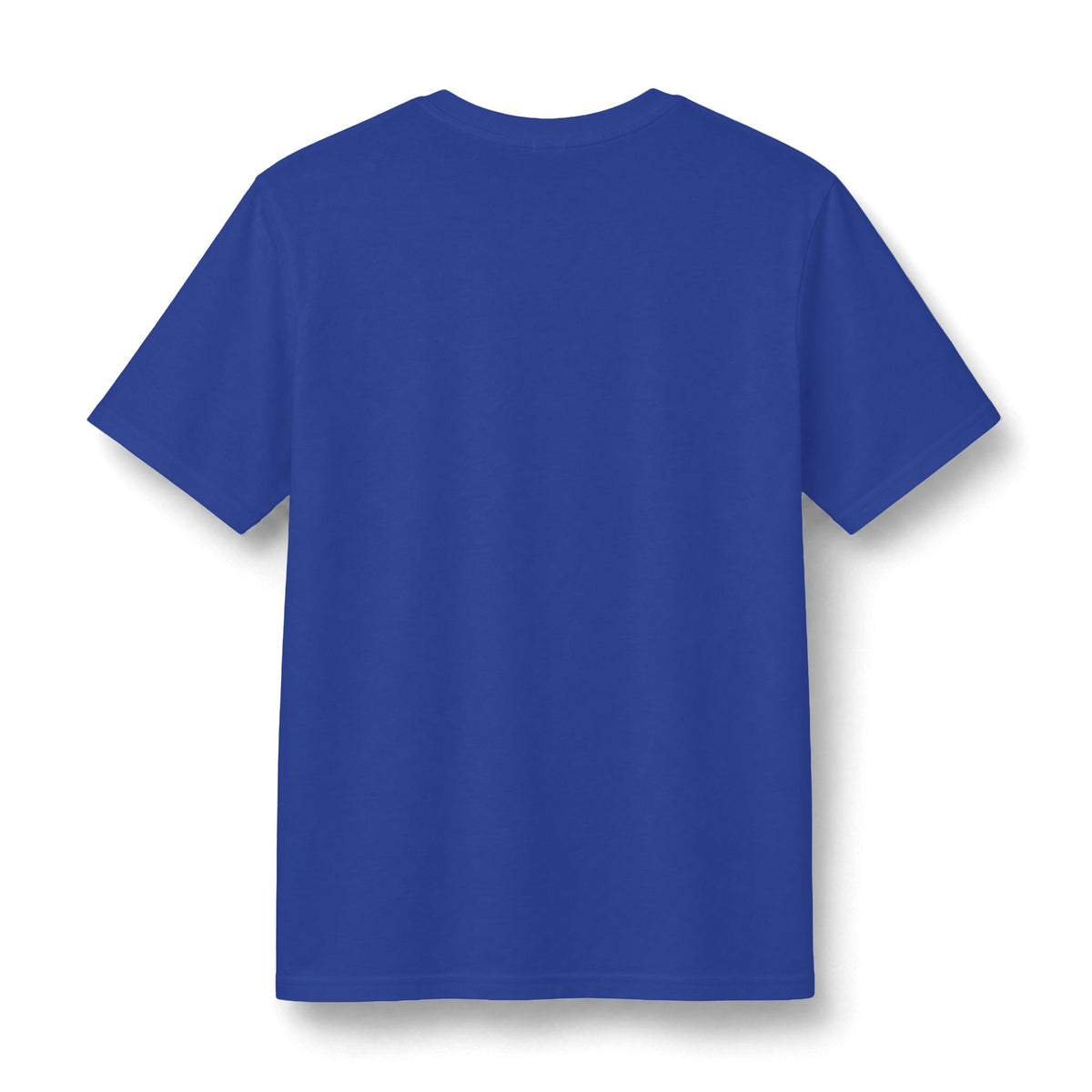 Redacted Files Concert Tee