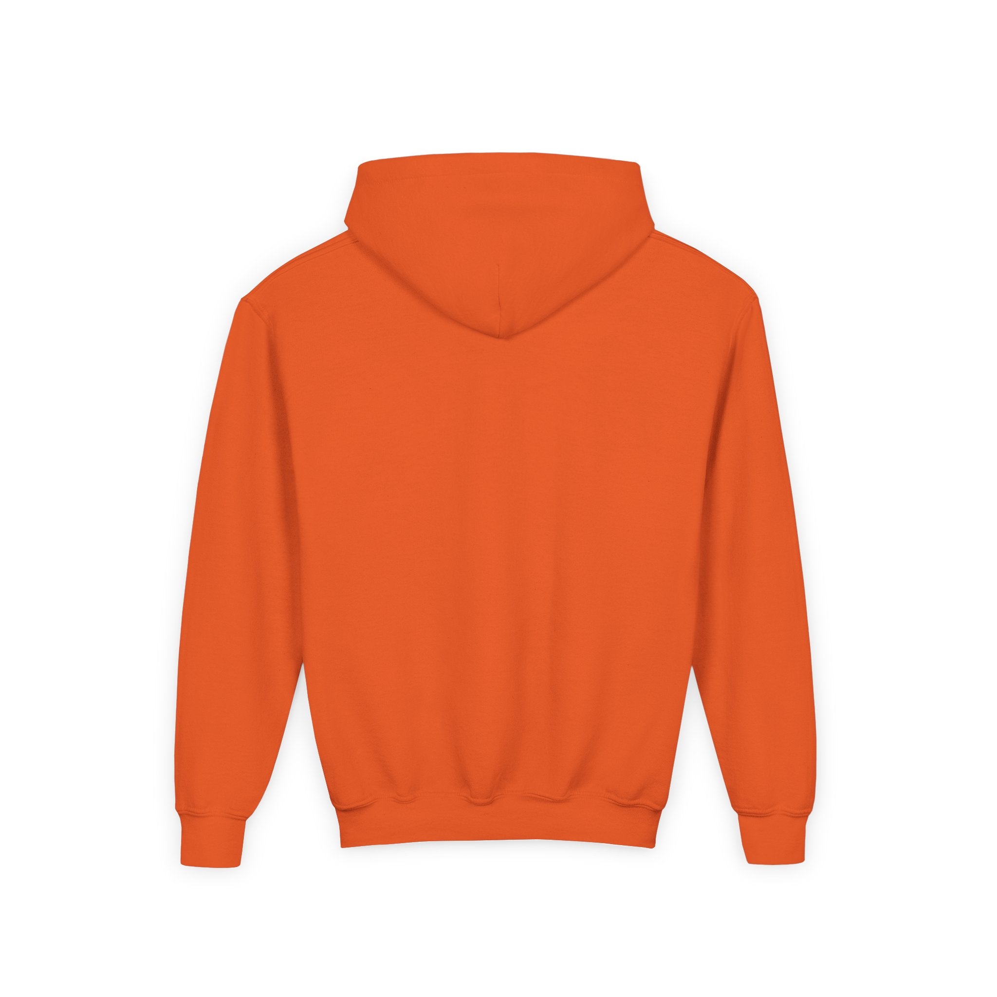 No AI Robot Youth Hooded Sweatshirt