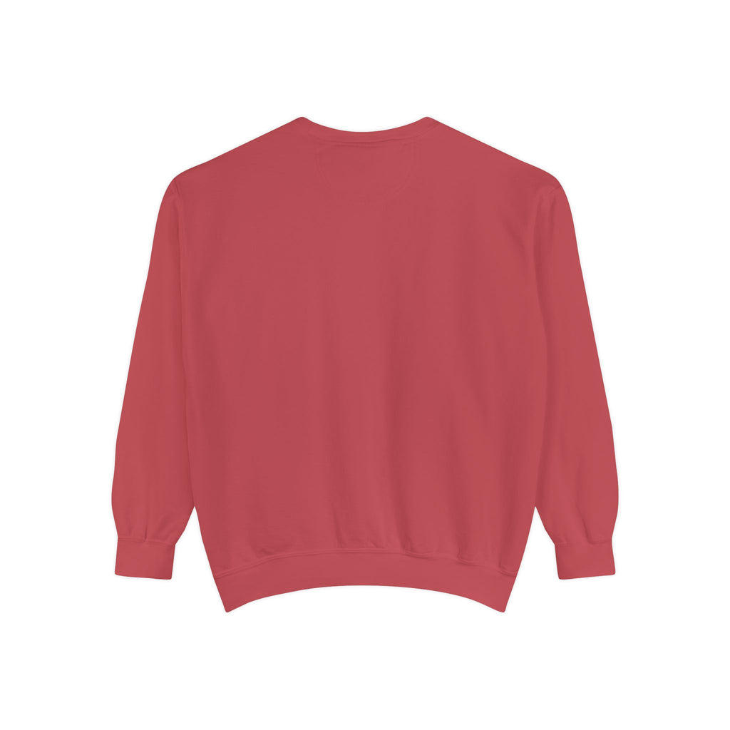 1984-Style Surveillance Unisex Sweatshirt