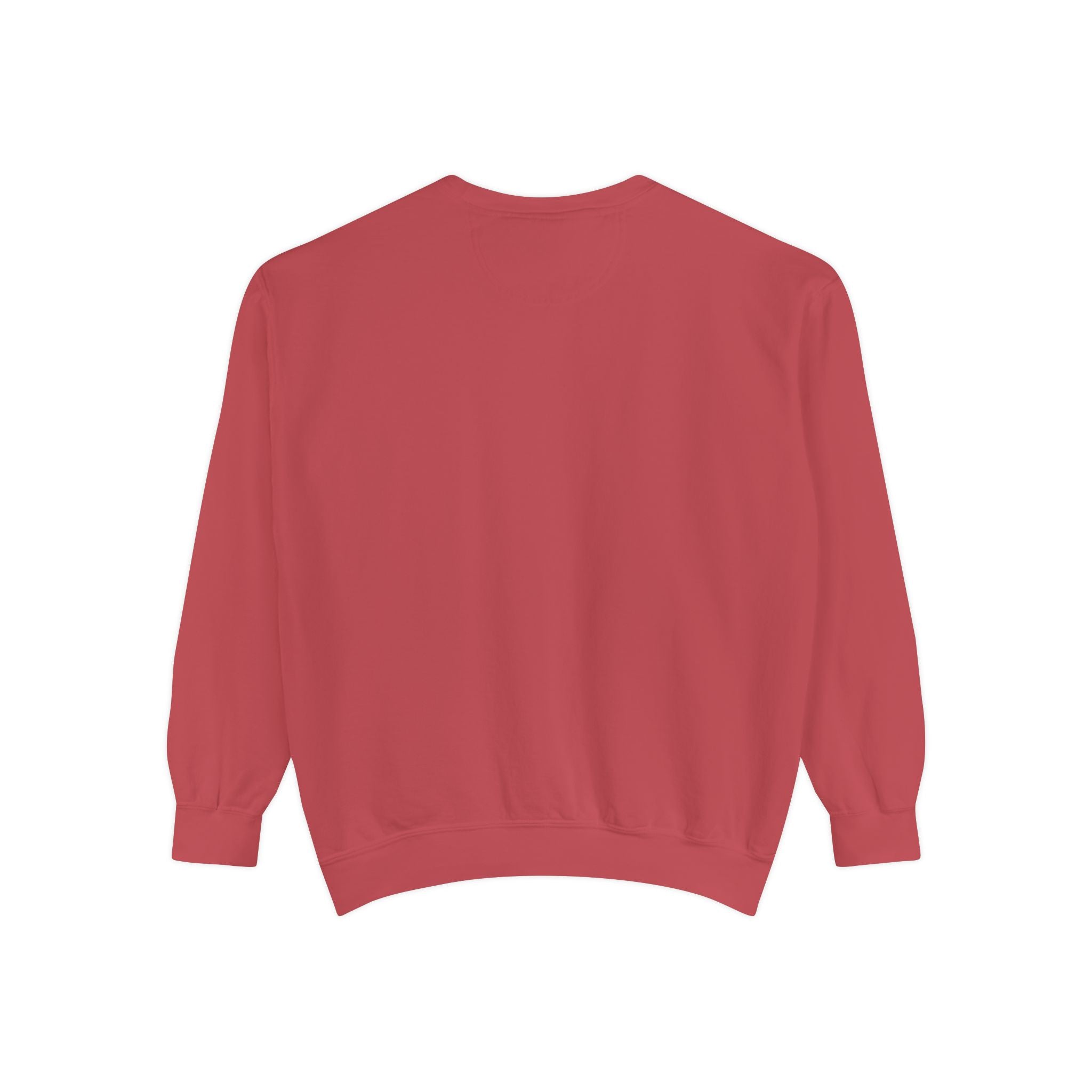 1984-Style Surveillance Unisex Sweatshirt