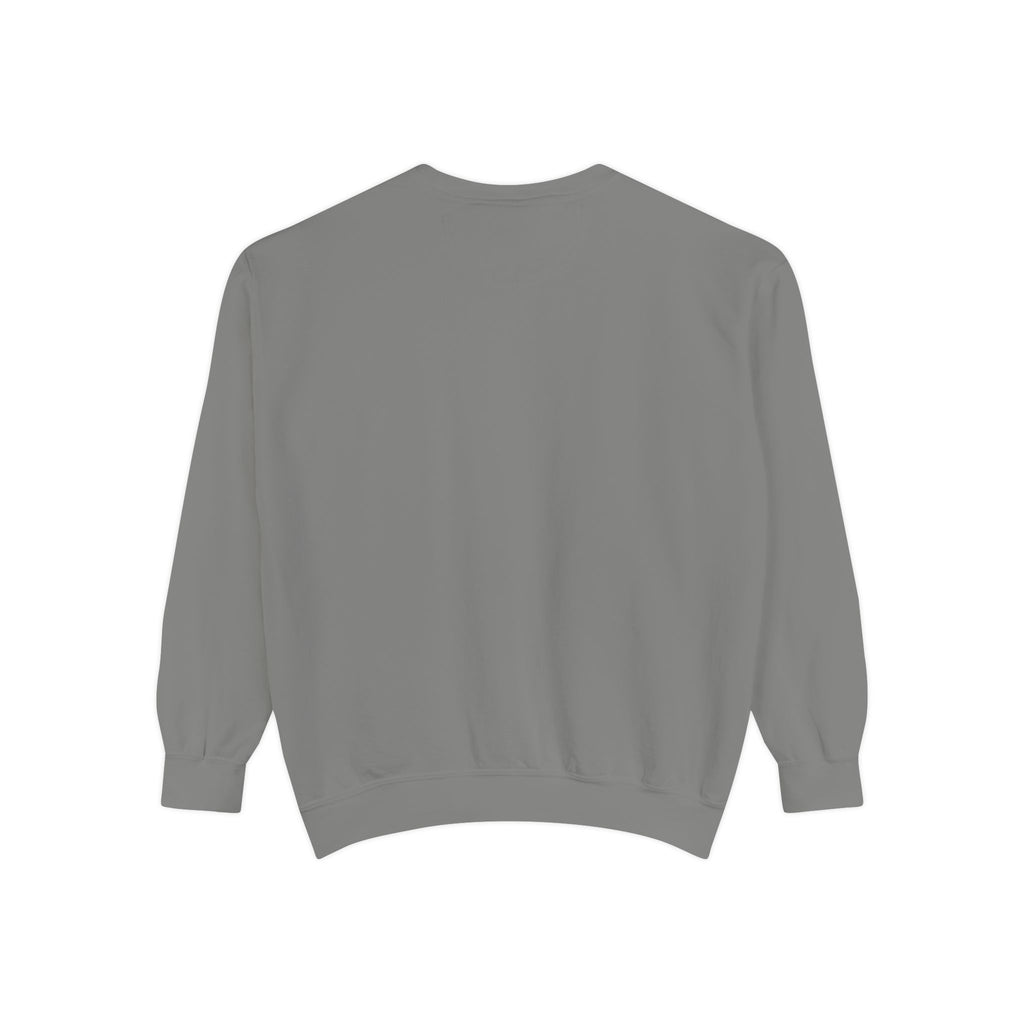 1984-Style Surveillance Unisex Sweatshirt