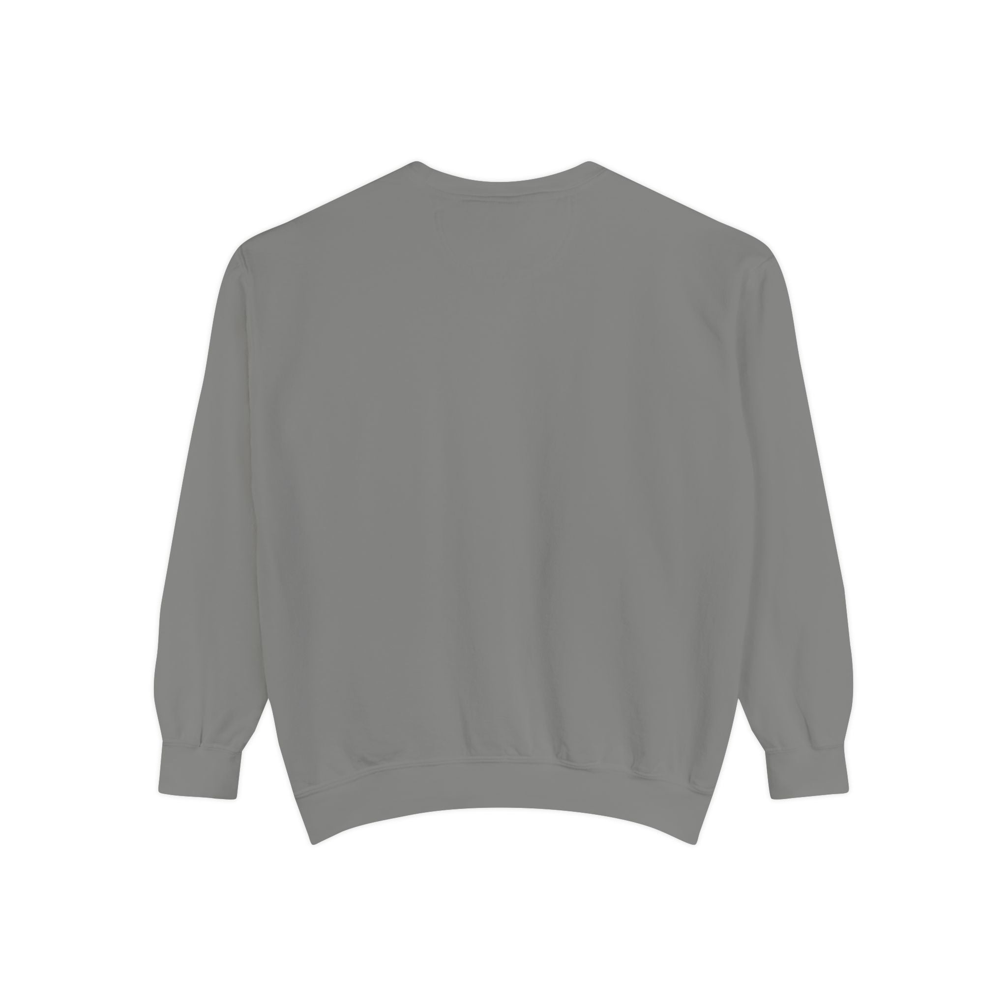 1984-Style Surveillance Unisex Sweatshirt