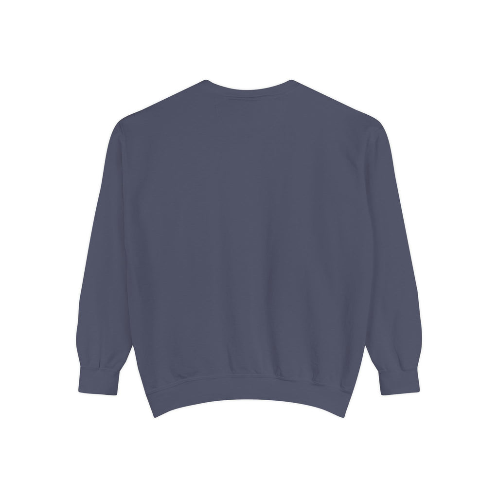 1984-Style Surveillance Unisex Sweatshirt