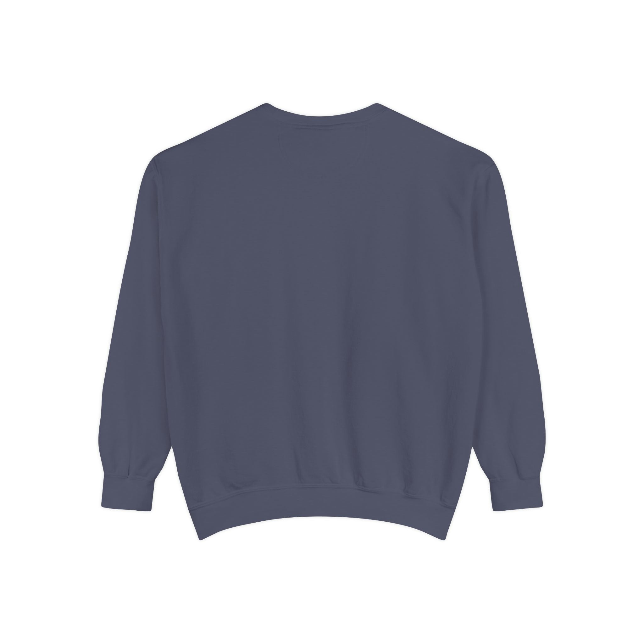 1984-Style Surveillance Unisex Sweatshirt