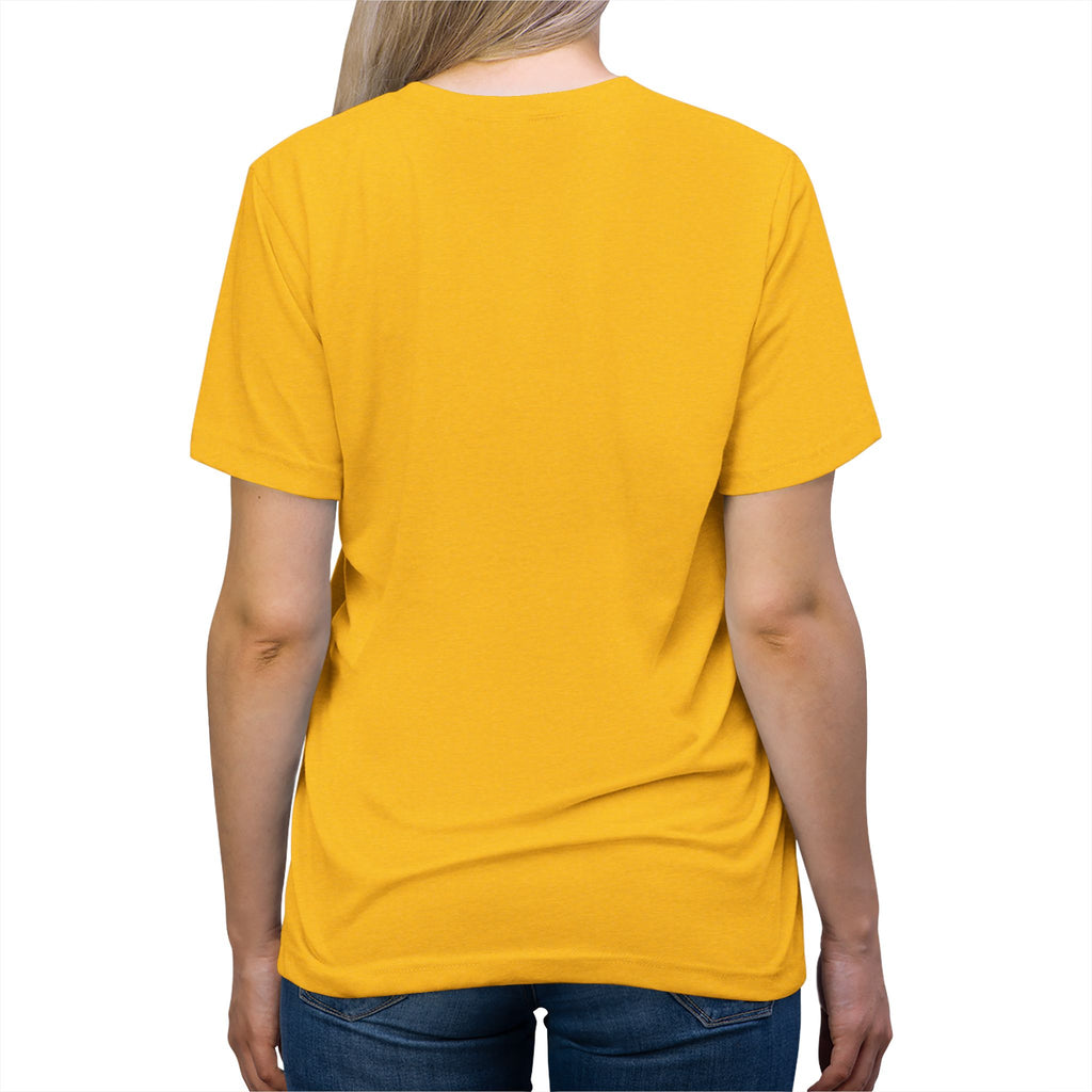 Epstein AI Unisex Triblend Tee Additional Colors
