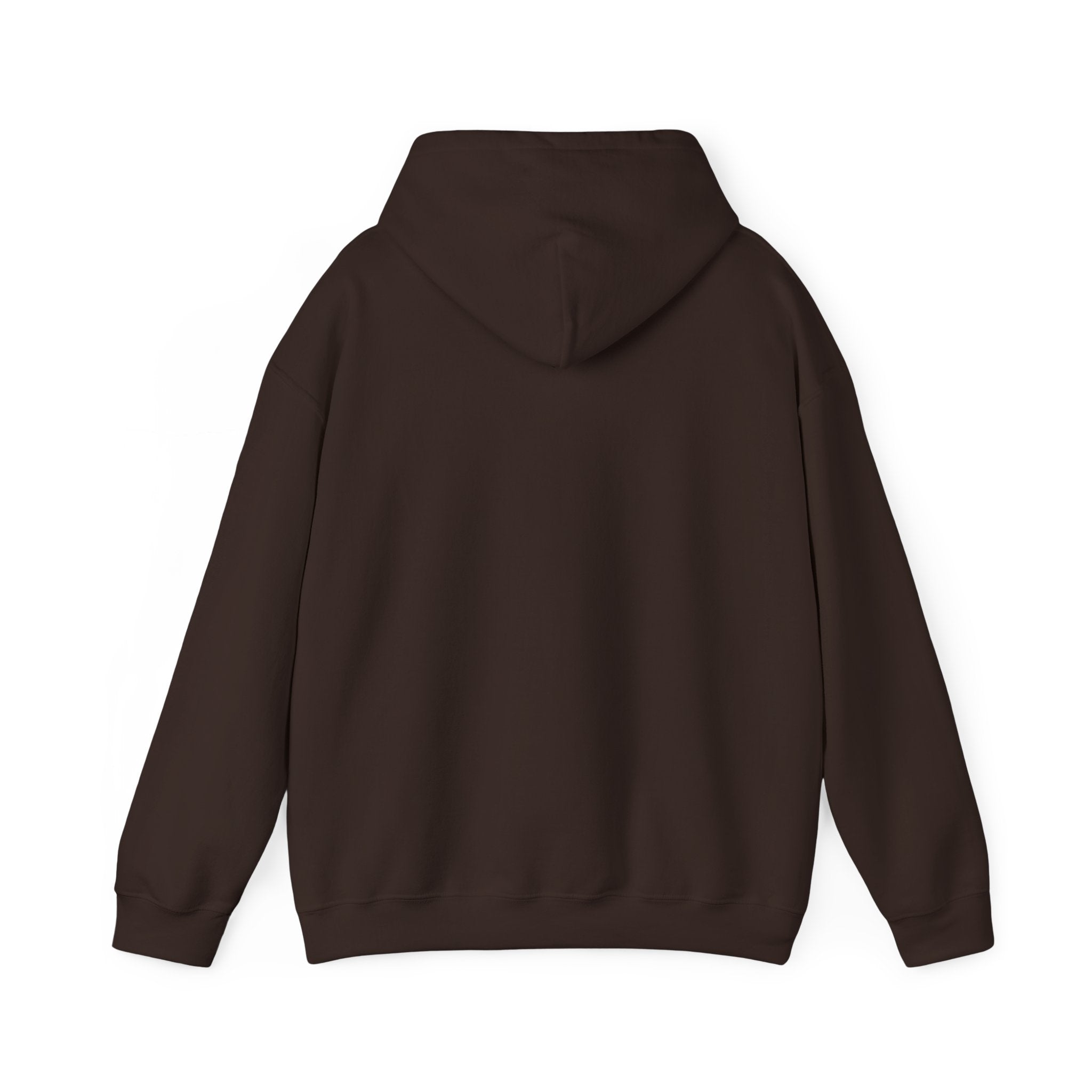 UnpAId Creative No AI Unisex Hooded Sweatshirt