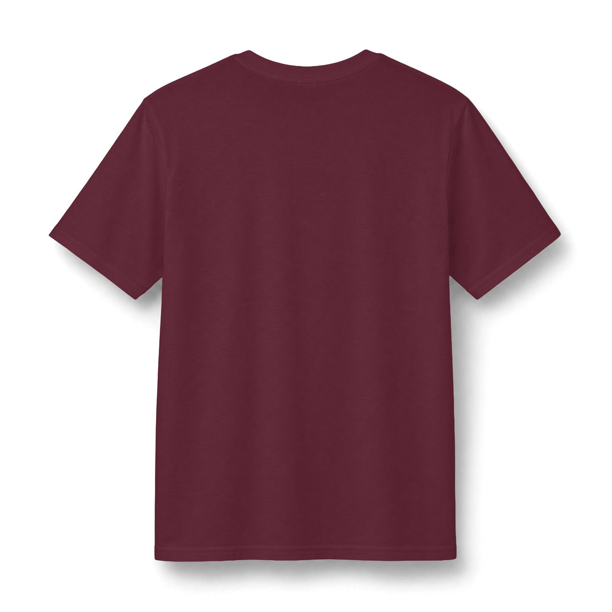 Redacted Files Concert Tee
