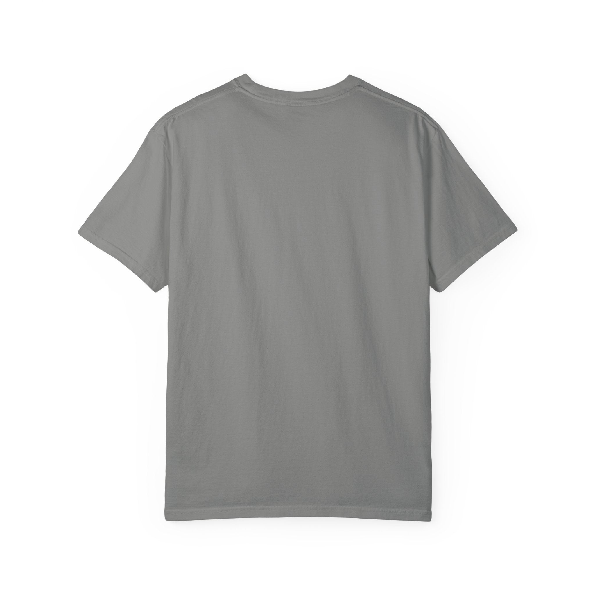 Anti-AI Unisex Garment-Dyed Tee For Creatives