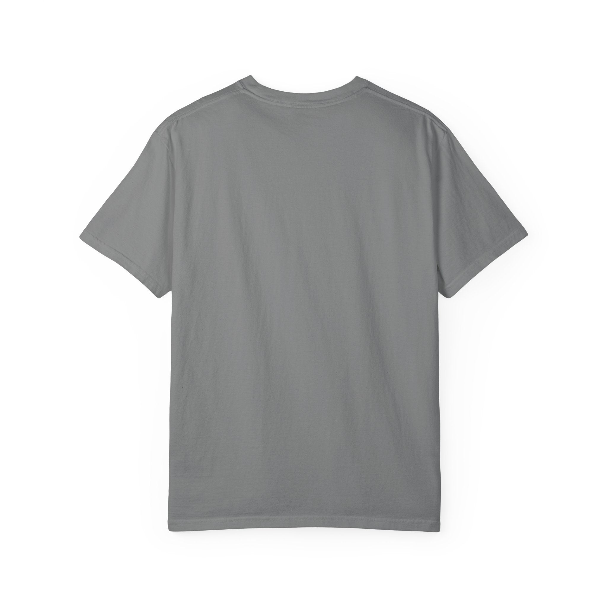 Anti-AI Unisex Garment-Dyed Tee For Creatives