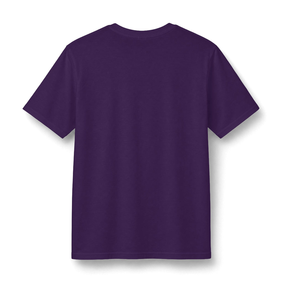 Redacted Files Concert Tee