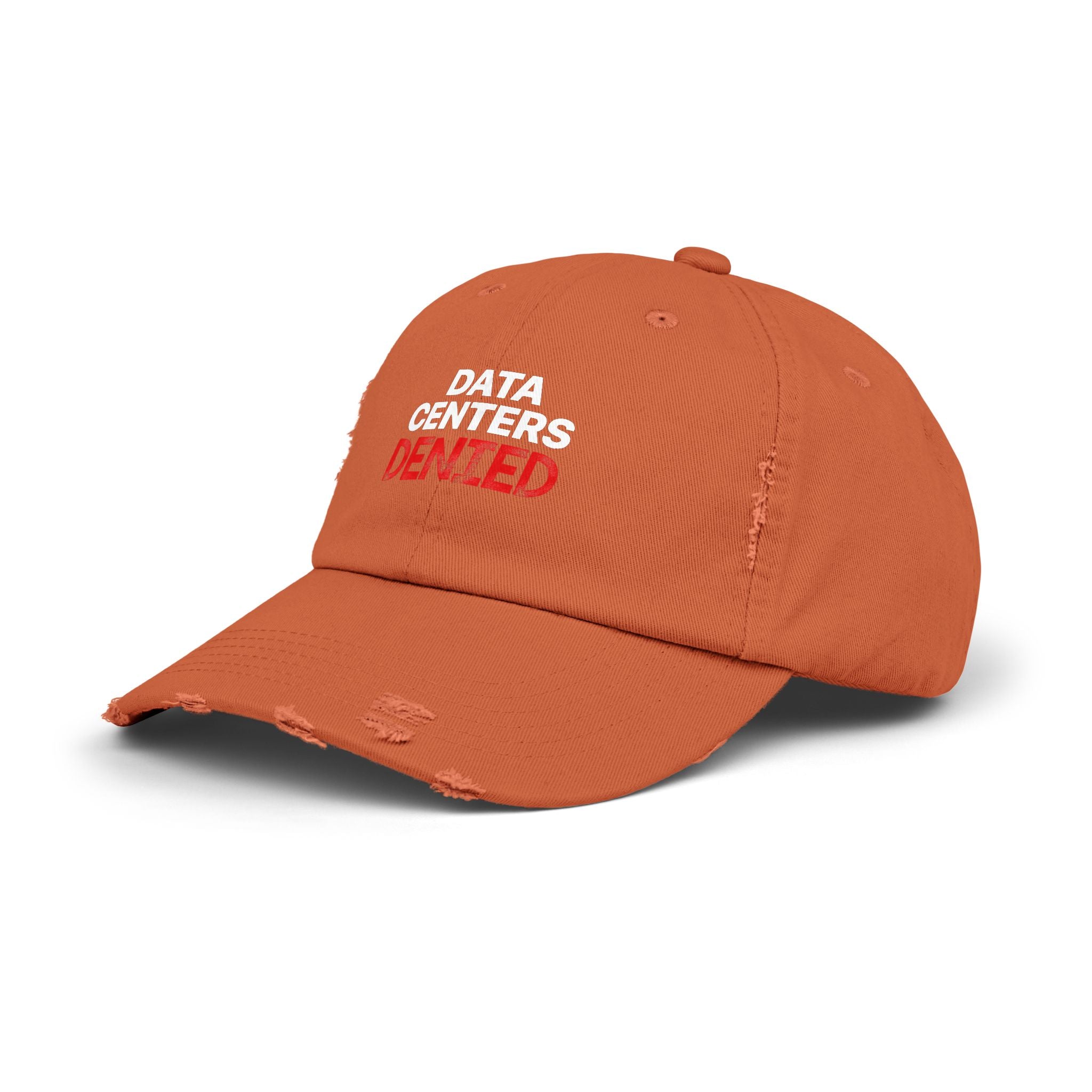 Data Center Denied Unisex Distressed Cap