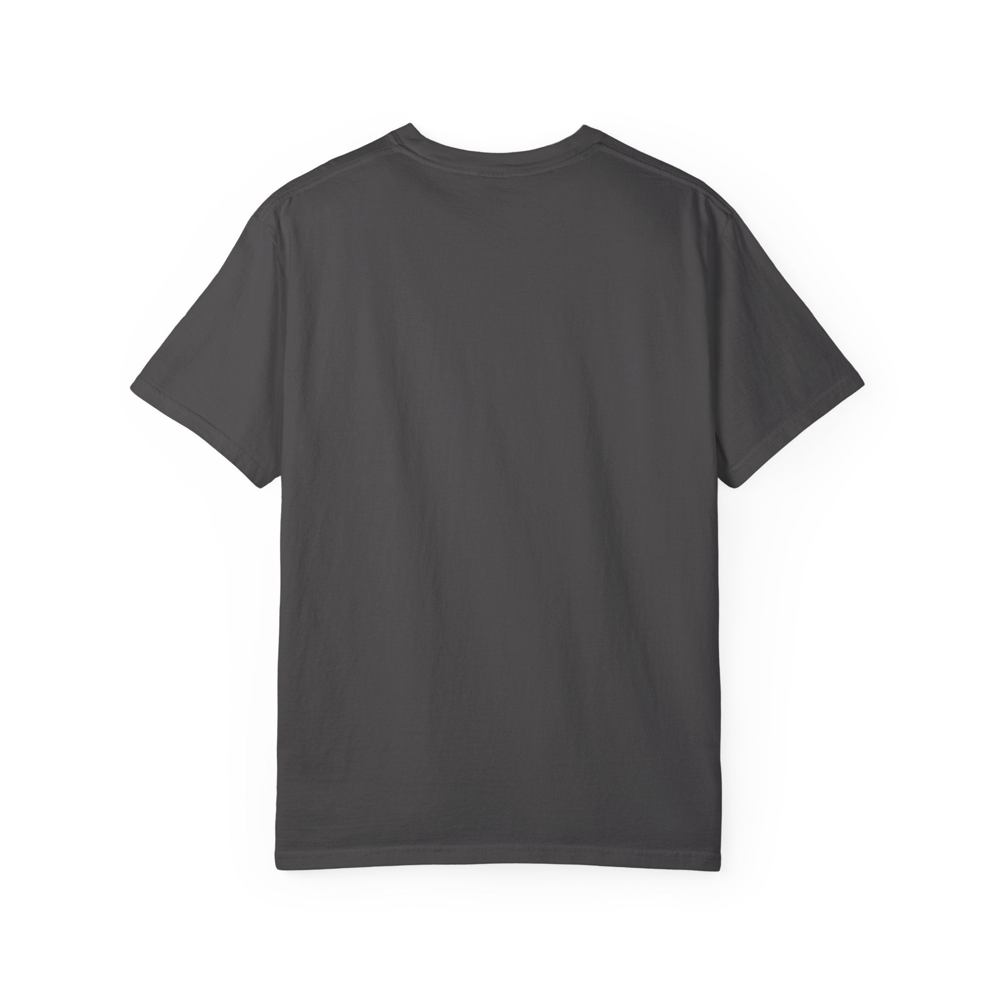 Anti-AI Unisex Garment-Dyed Tee For Creatives
