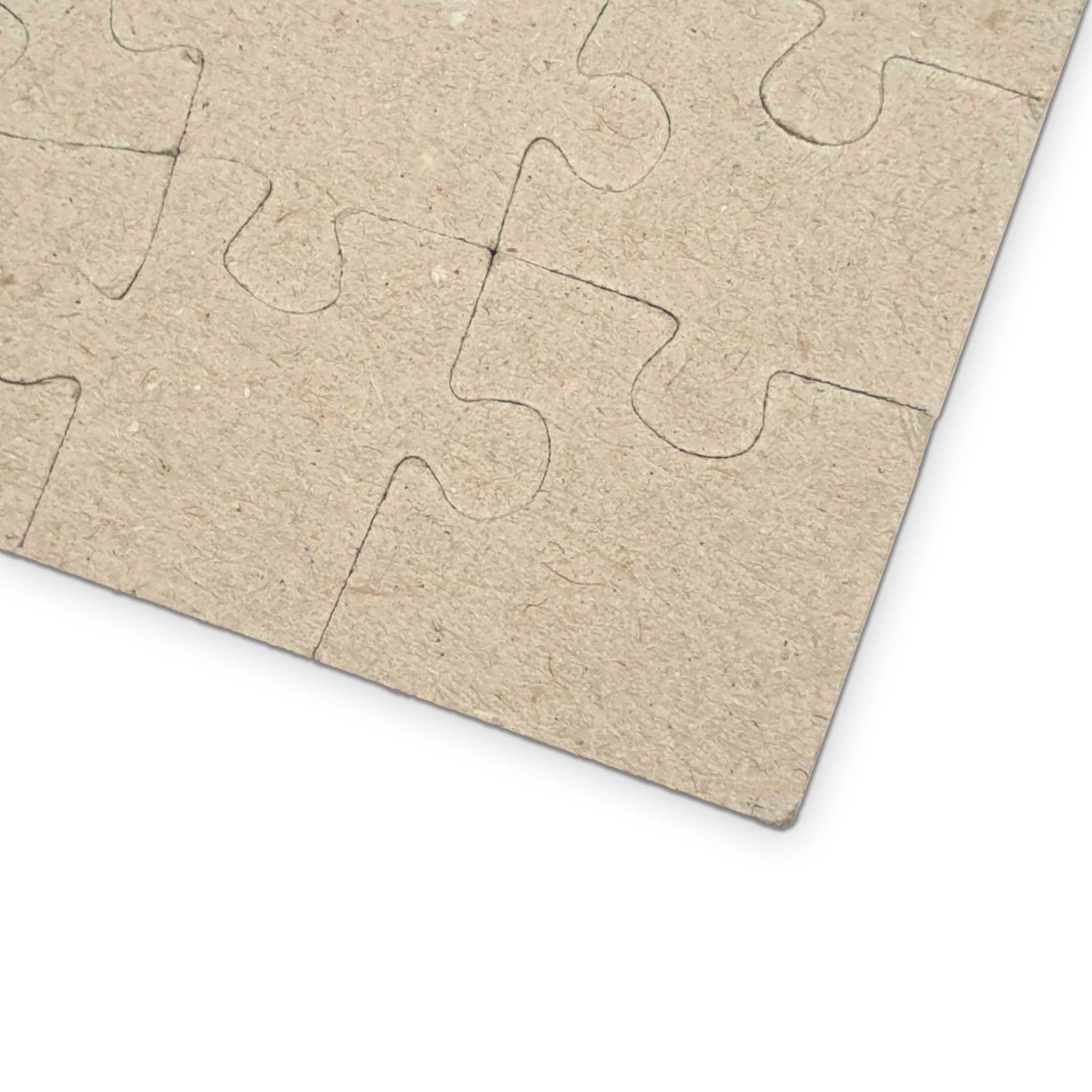 Ban AI Puzzle