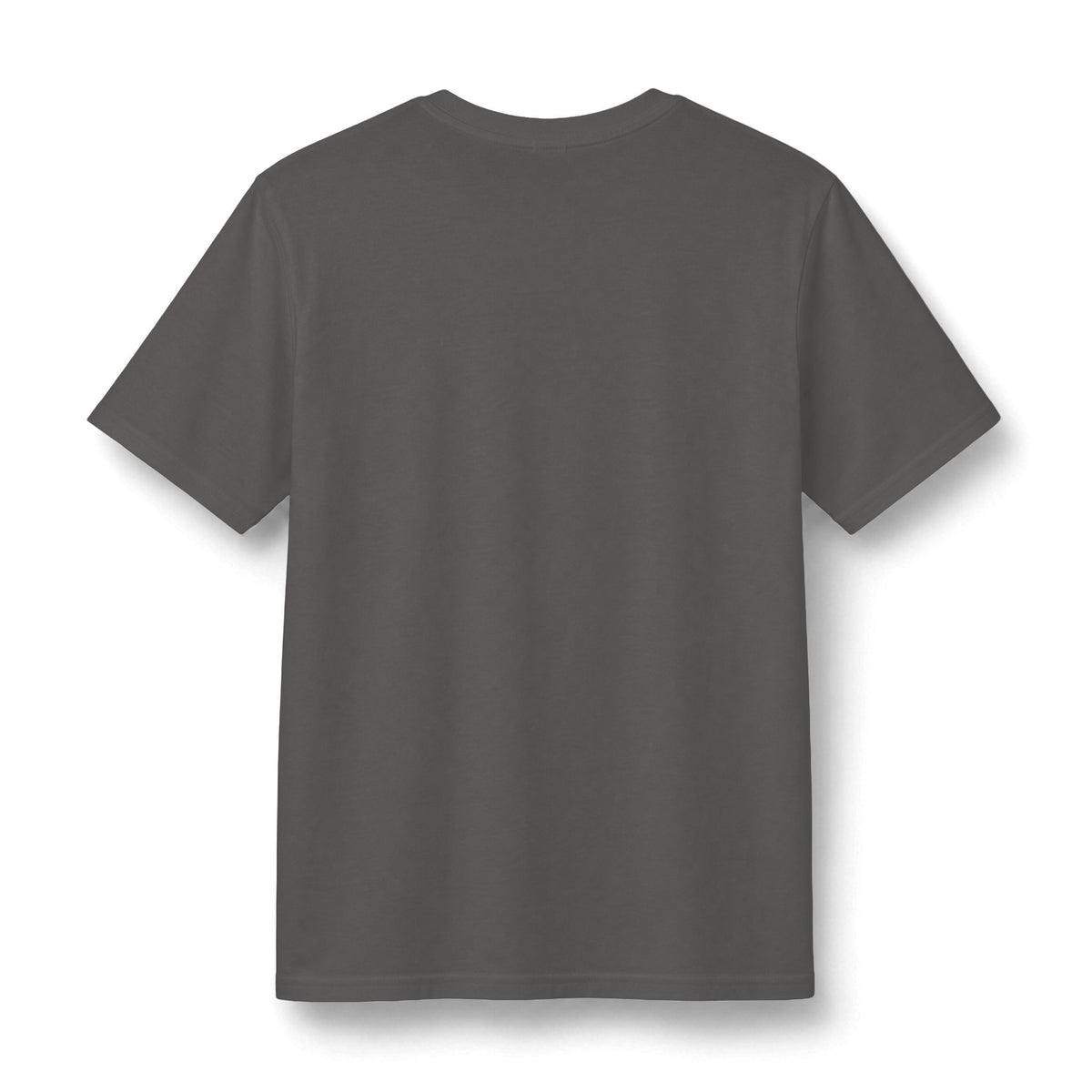 Redacted Files Concert Tee