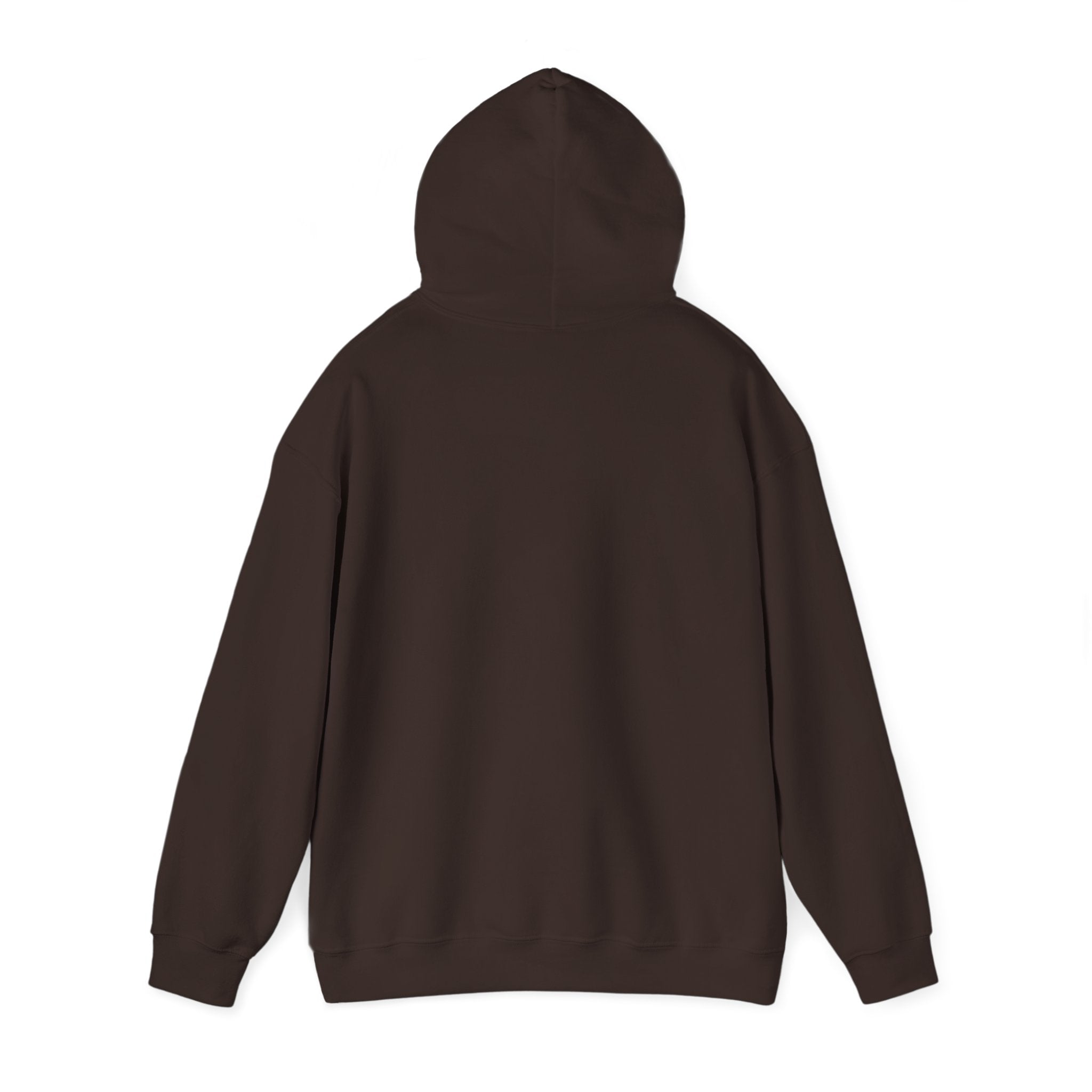 UnpAId Creative No AI Unisex Hooded Sweatshirt