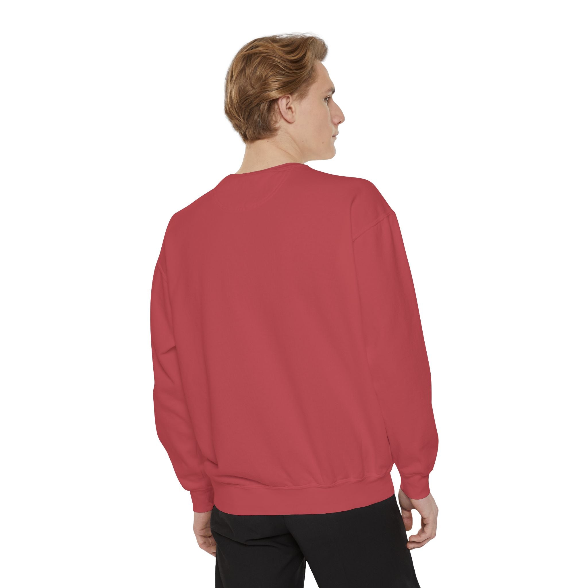 1984-Style Surveillance Unisex Sweatshirt