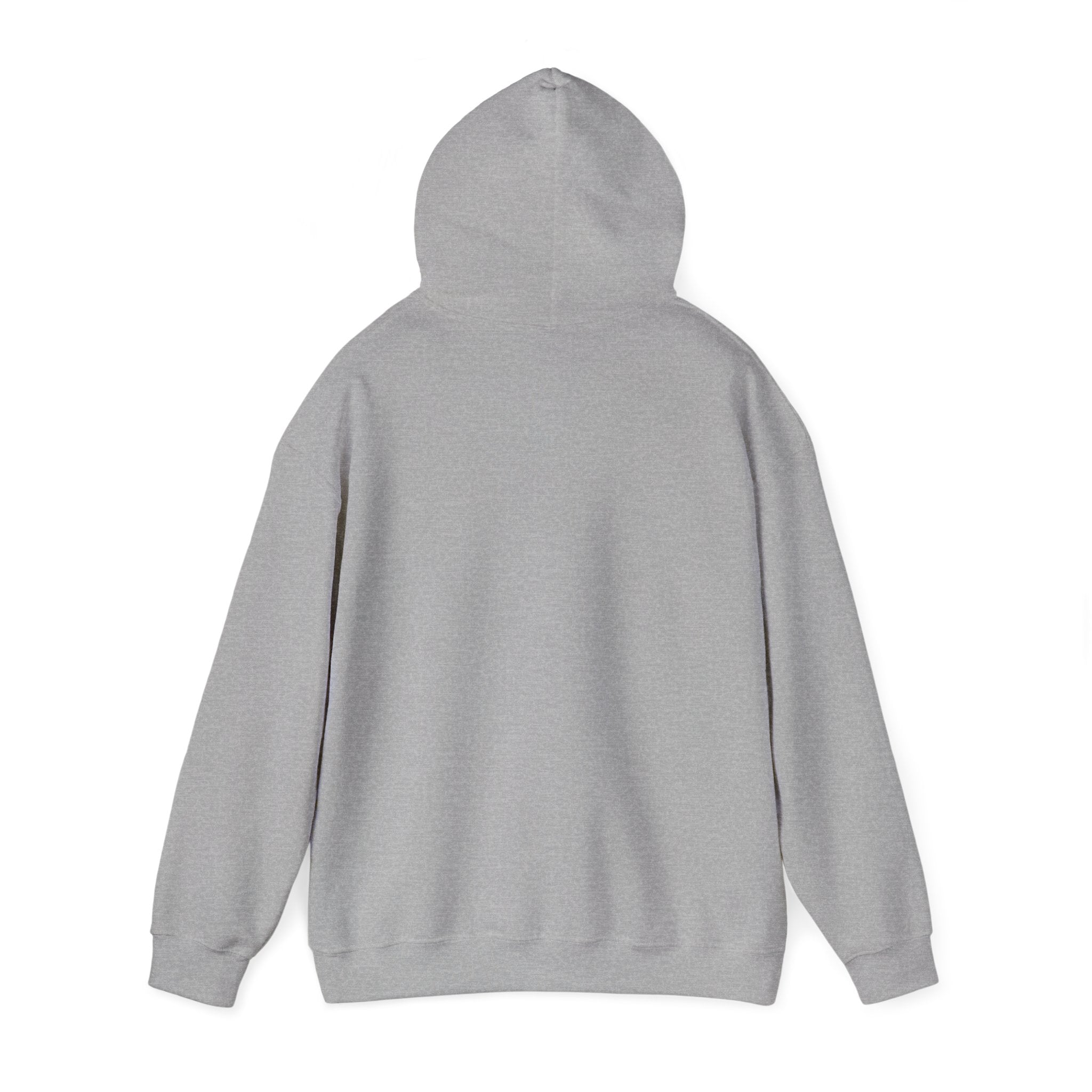 UnpAId Creative No AI Unisex Hooded Sweatshirt