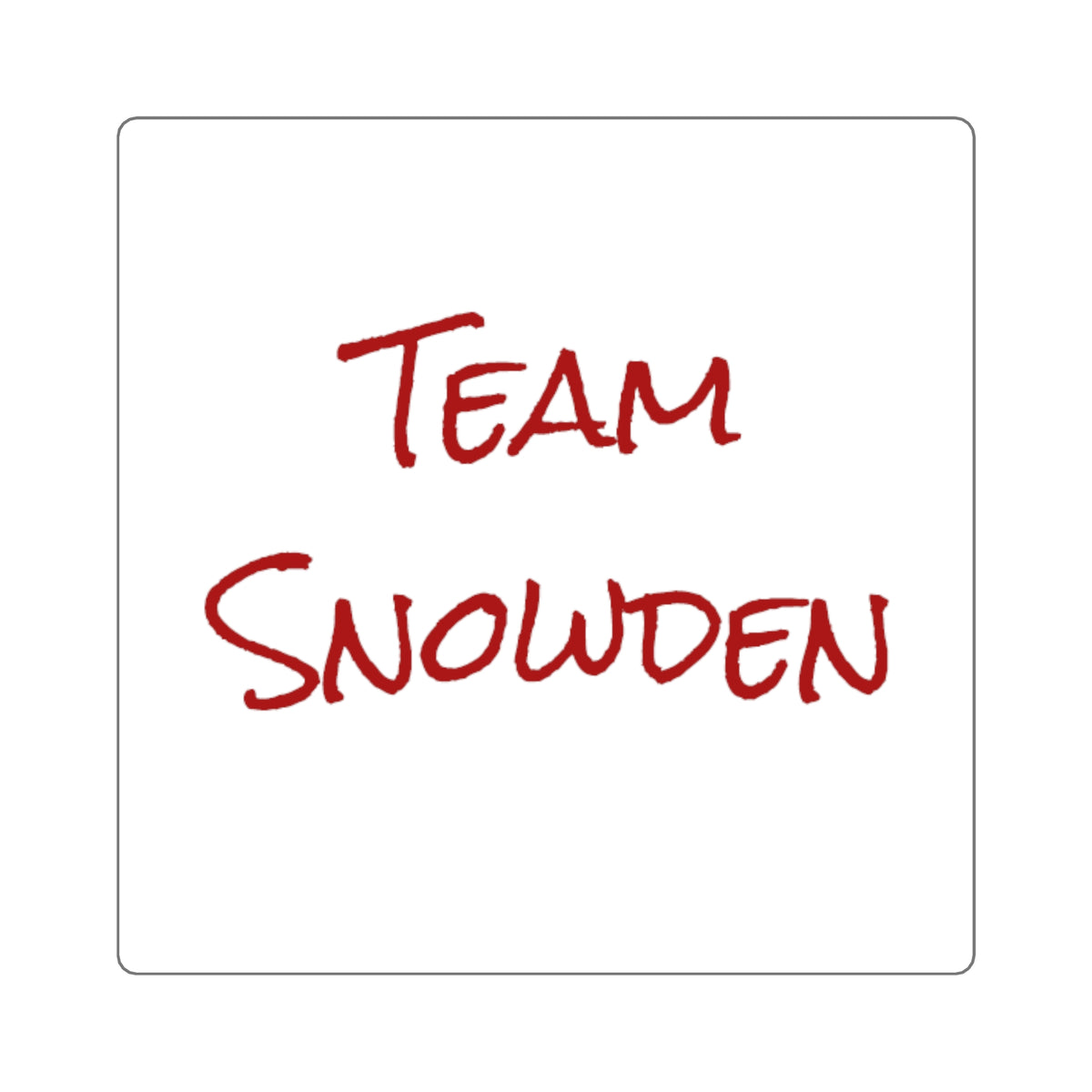 Team Snowden Square Stickers