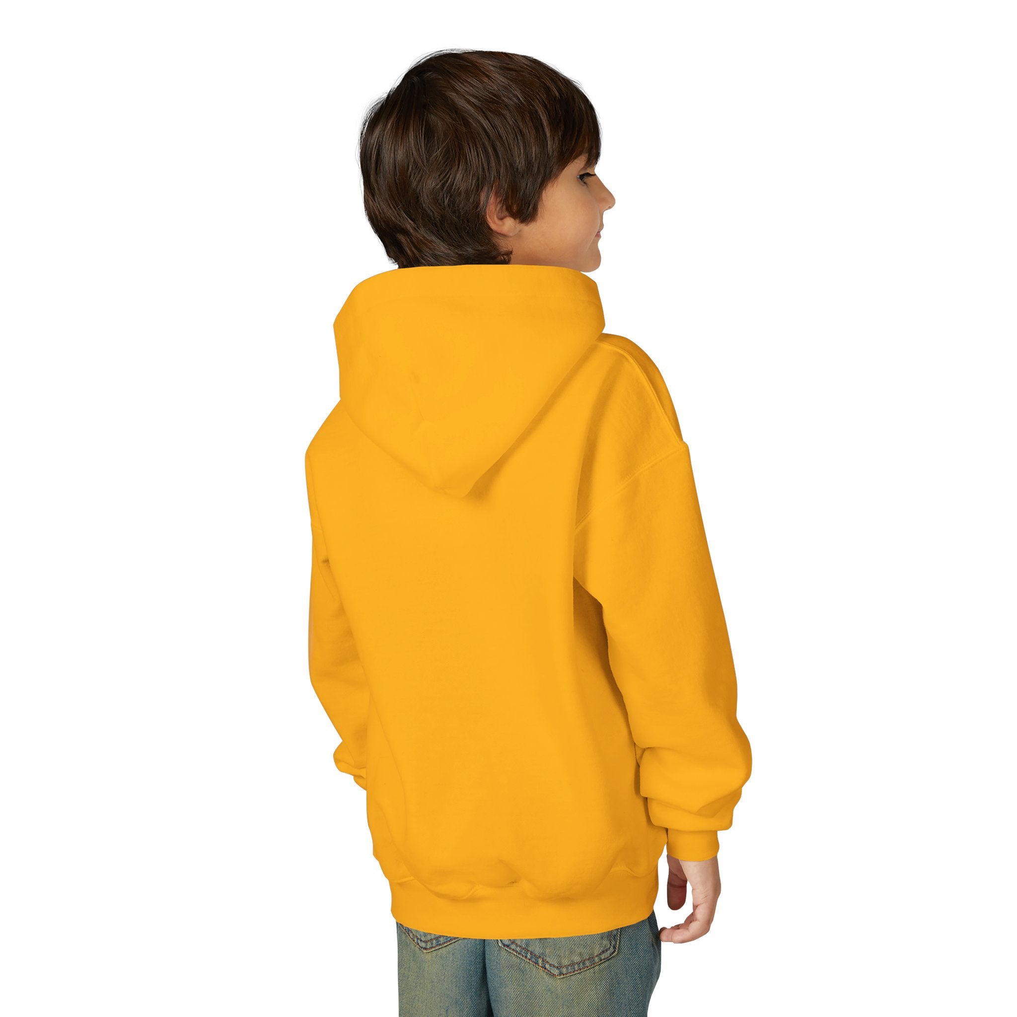 No AI Robot Youth Hooded Sweatshirt