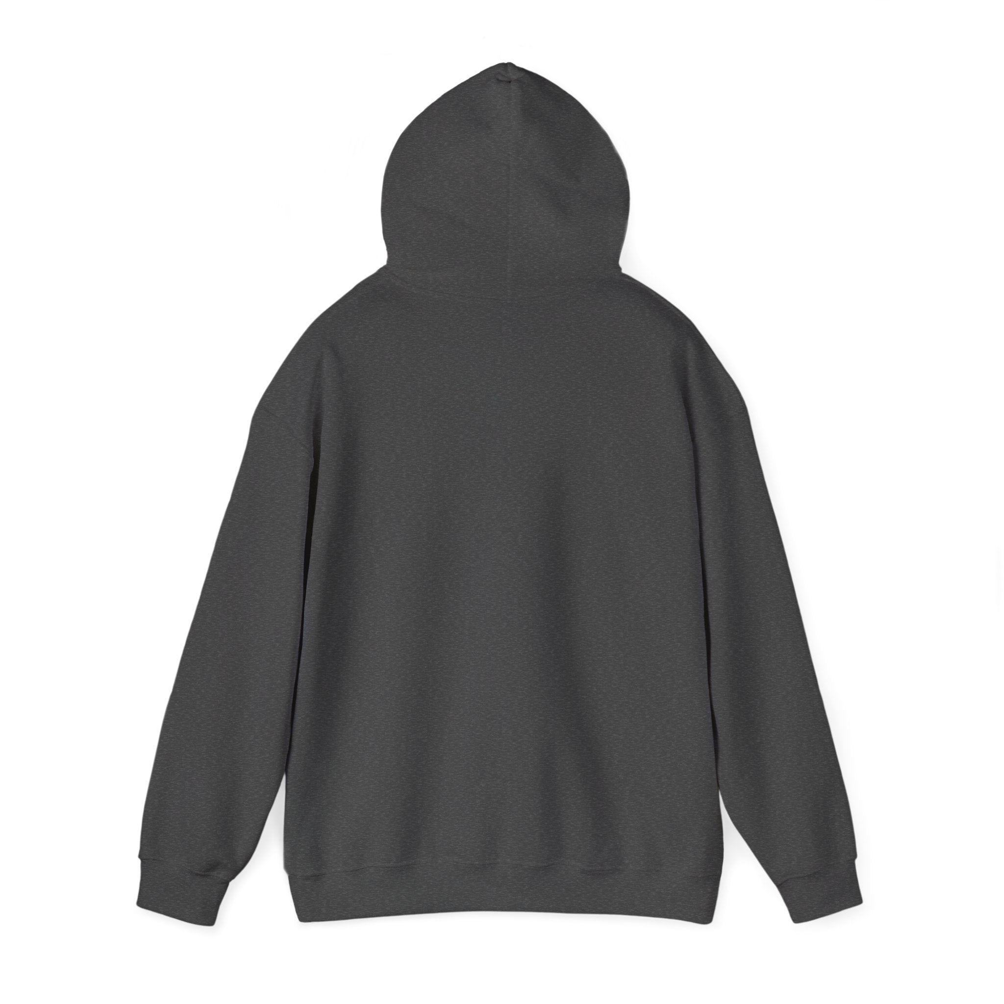 UnpAId Creative No AI Unisex Hooded Sweatshirt
