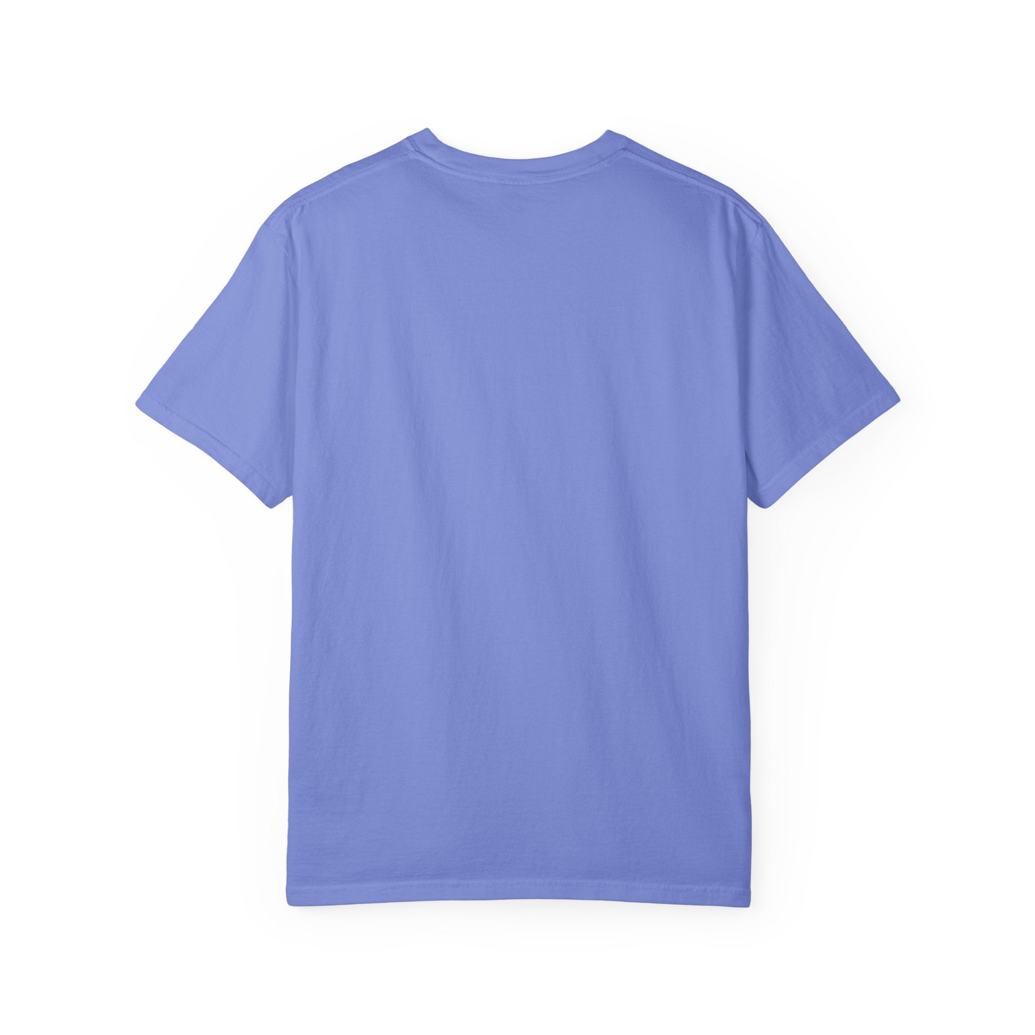 Anti-AI Unisex Garment-Dyed Tee For Creatives