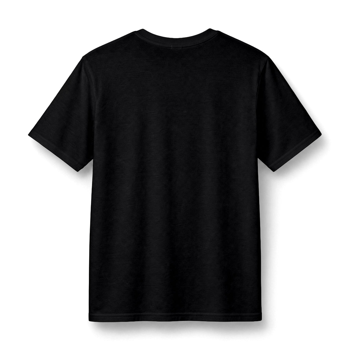 Redacted Files Concert Tee