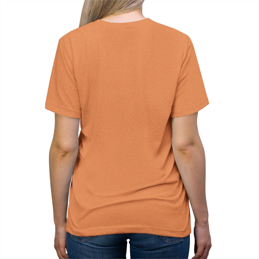Epstein AI Unisex Triblend Tee Additional Colors