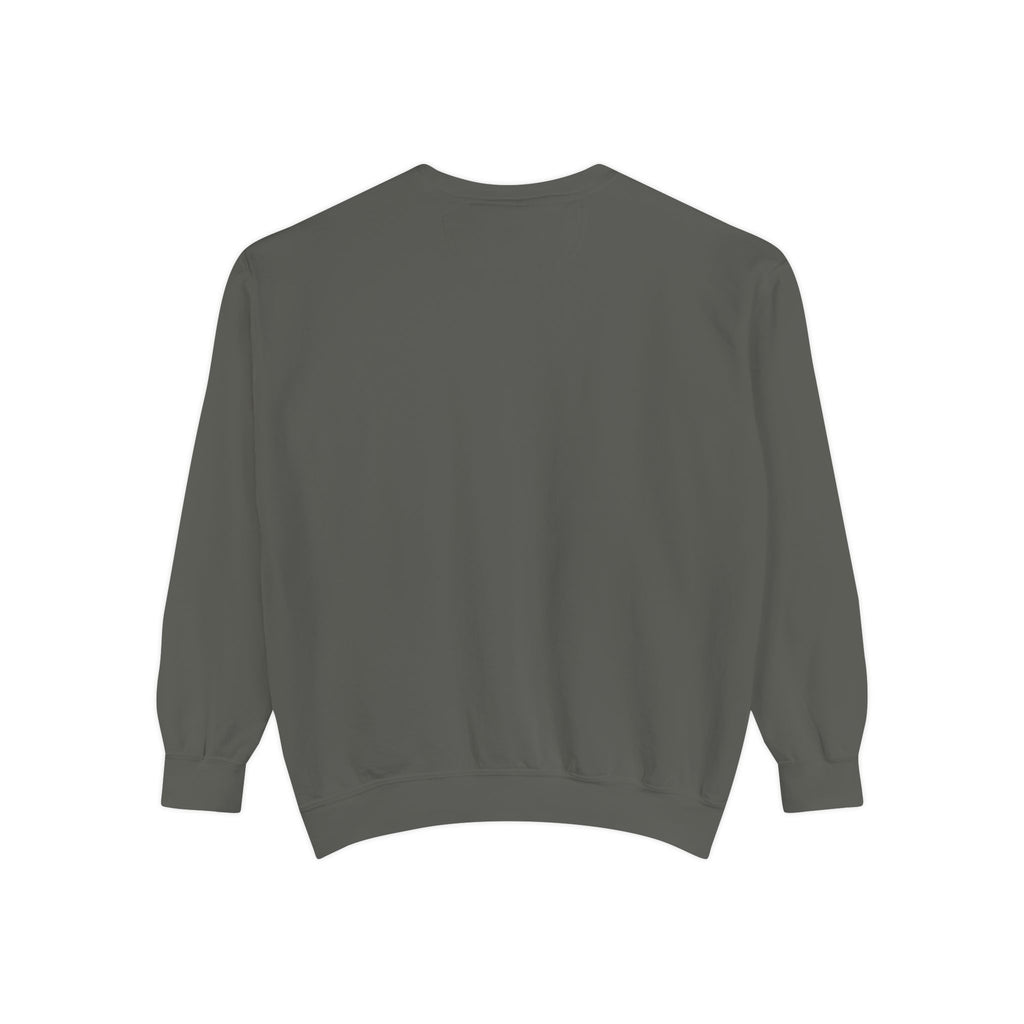 1984-Style Surveillance Unisex Sweatshirt