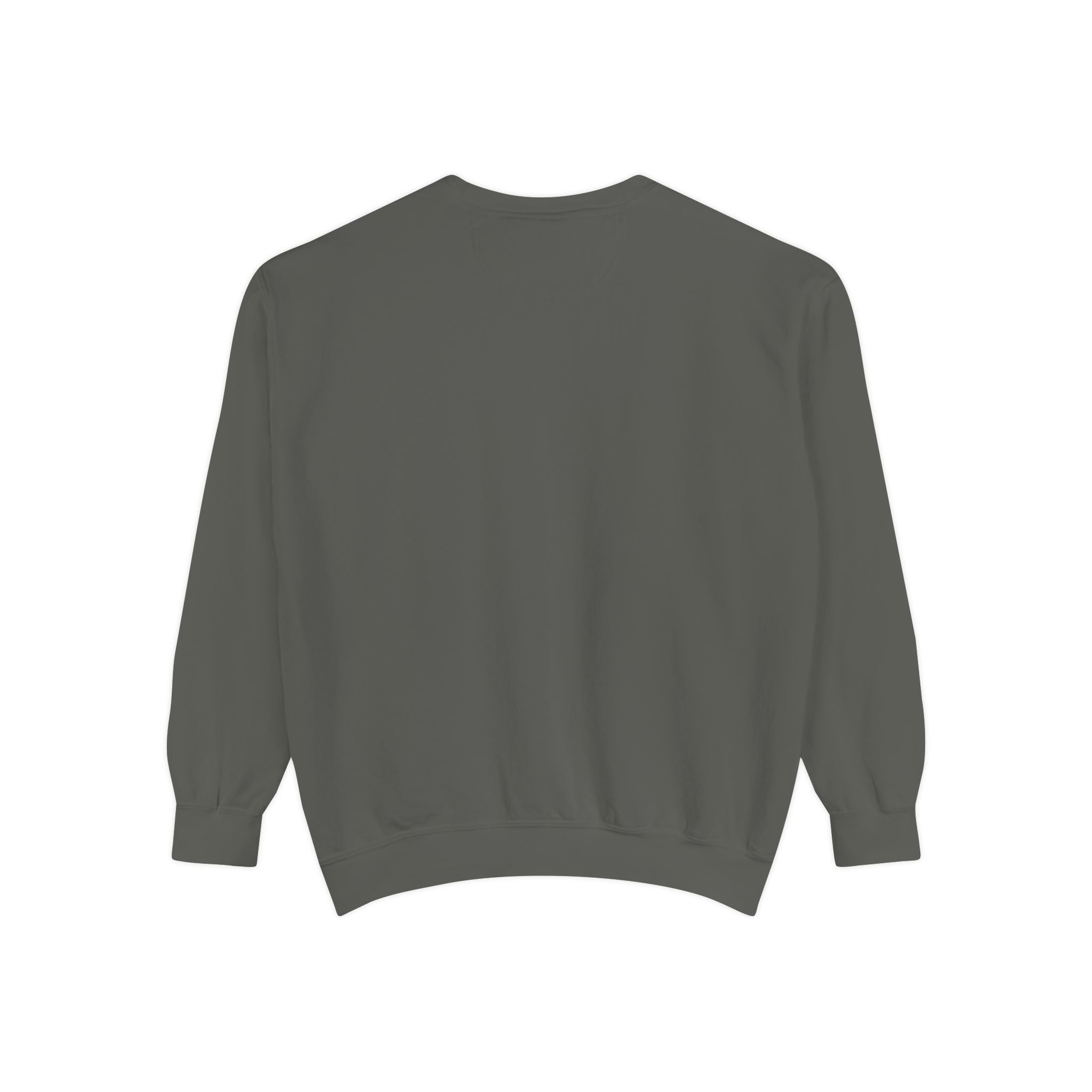 1984-Style Surveillance Unisex Sweatshirt