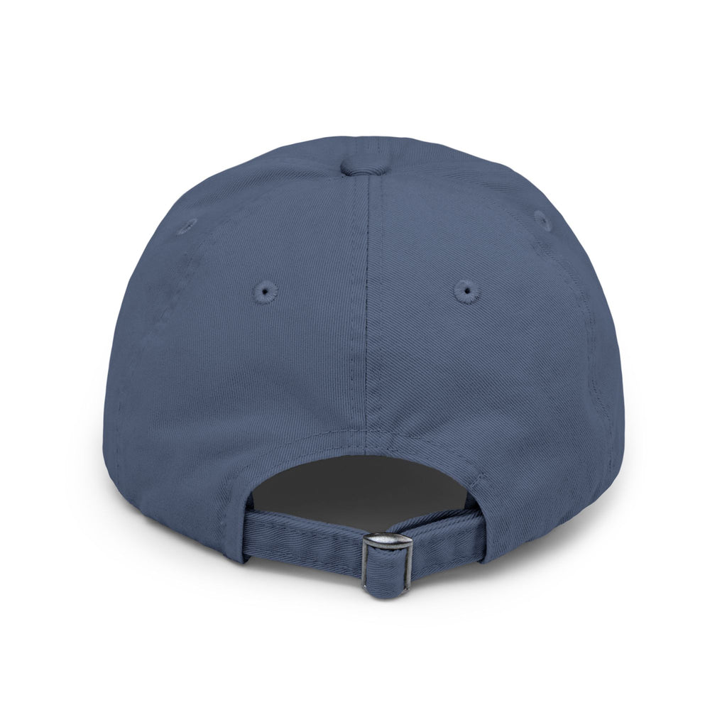 Data Center Denied Unisex Distressed Cap