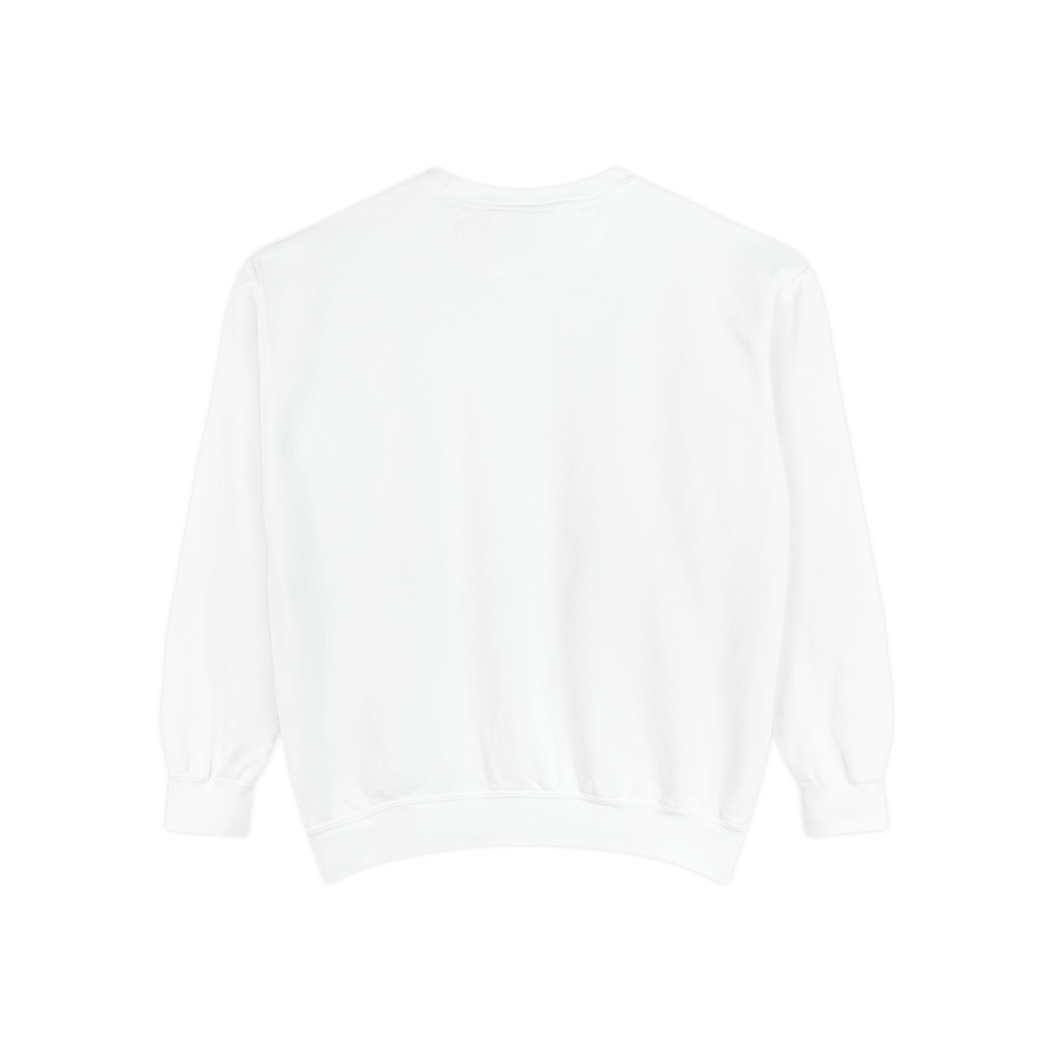 1984-Style Surveillance Unisex Sweatshirt