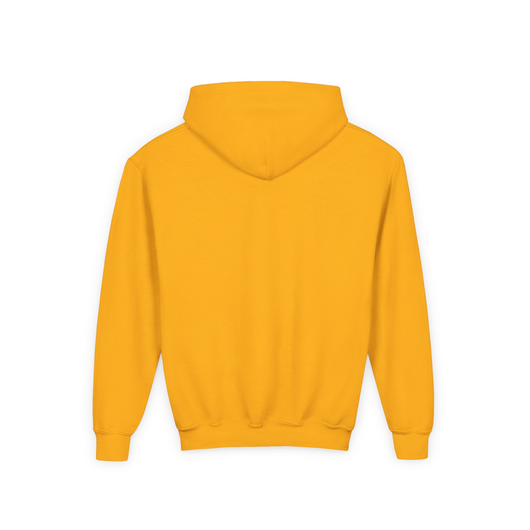 No AI Robot Youth Hooded Sweatshirt