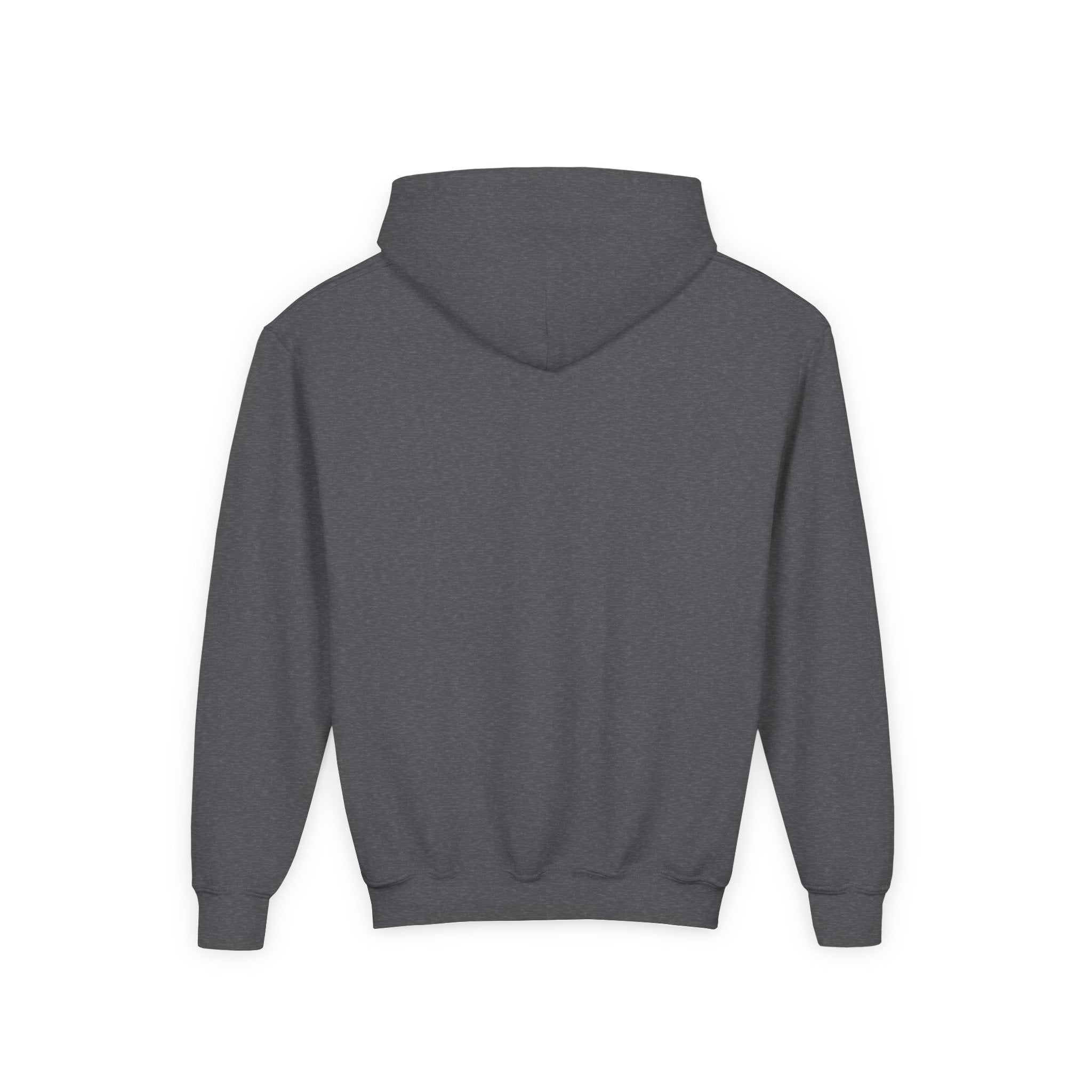 No AI Robot Youth Hooded Sweatshirt
