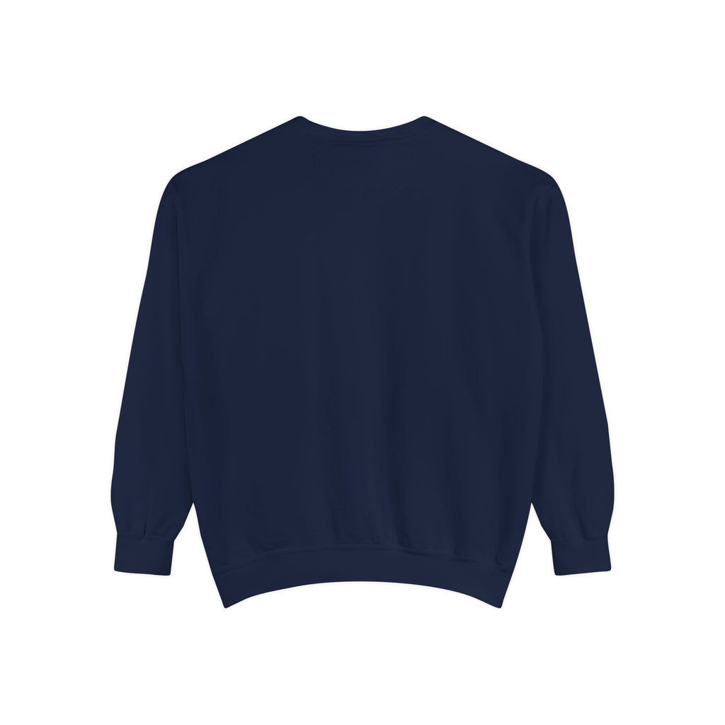 1984-Style Surveillance Unisex Sweatshirt
