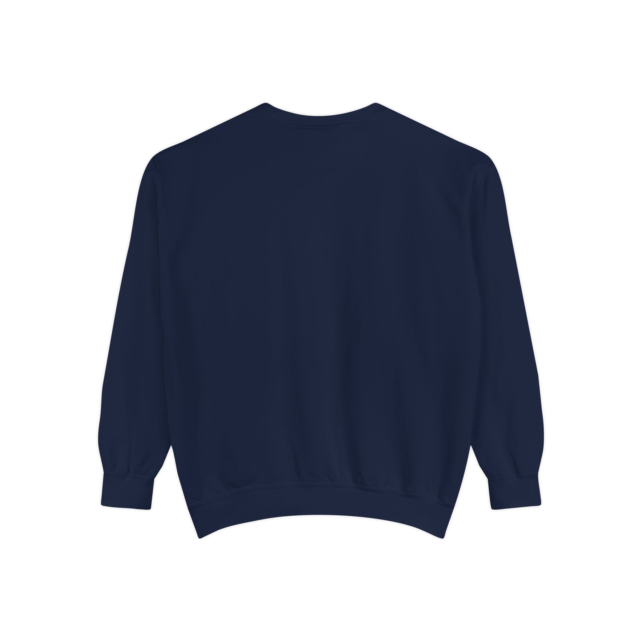 1984-Style Surveillance Unisex Sweatshirt